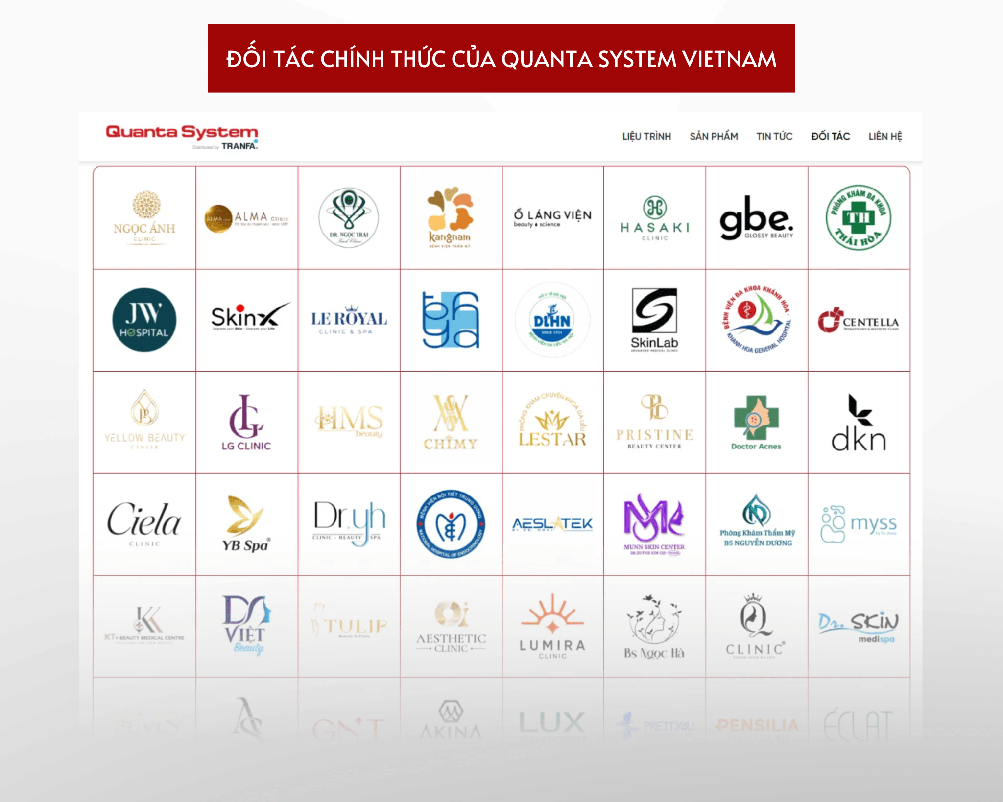Các đối tác chính thức của Quanta System Việt Nam