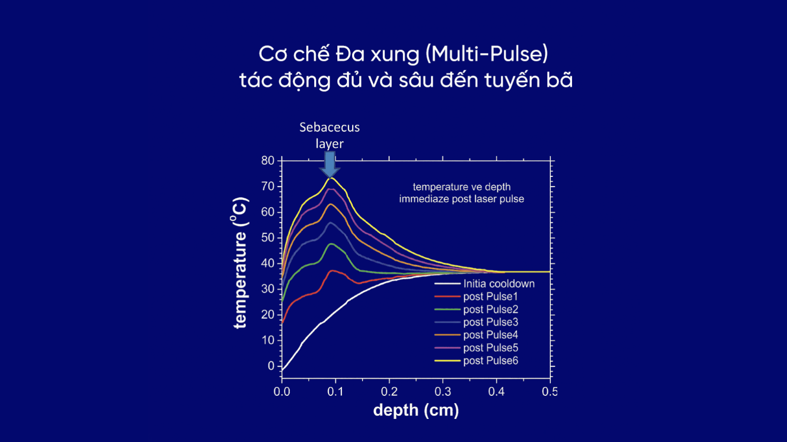 Accure tự động "định vị" và tập trung vào các tuyến bã nhờn nằm sâu ở lớp hạ bì